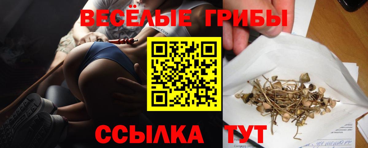 Галлюциногенные грибы прущие грибы  Вход с VPN  Воронеж 